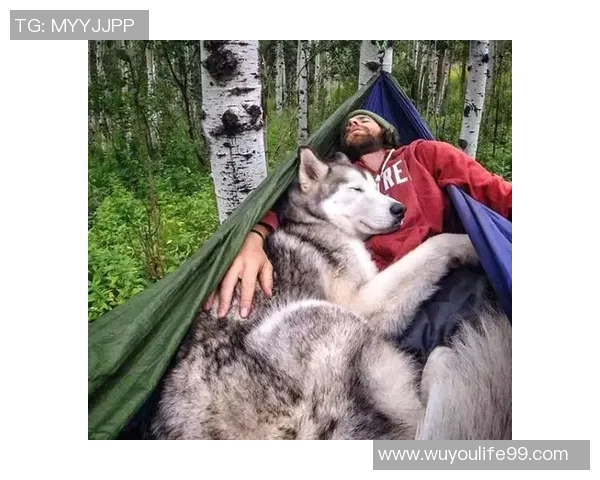 狗子带来的快乐占据我生活的80让幸福随之而来